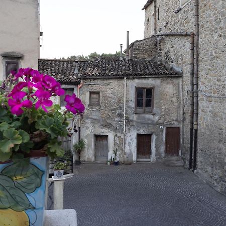 La Casa Della Nonna Διαμέρισμα Cammarata Εξωτερικό φωτογραφία